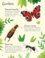 Фото Bugs to Spot. Usborne Minis 4