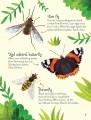 Фото Bugs to Spot. Usborne Minis 5