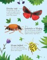 Фото Bugs to Spot. Usborne Minis 7