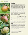 Фото Allotment Month by Month 2