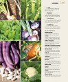 Фото Allotment Month by Month 5