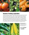 Фото Allotment Month by Month 6
