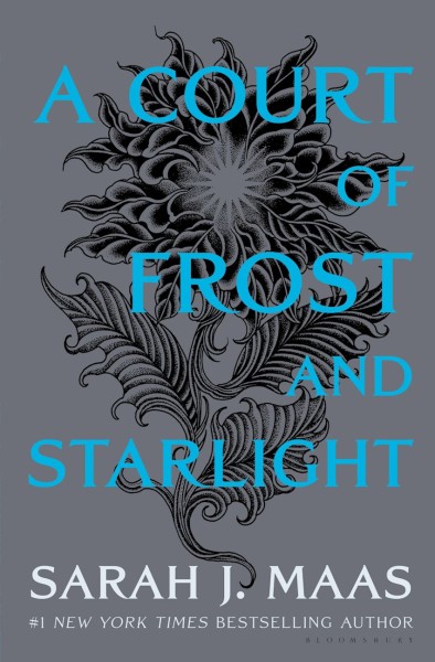 Фото A Court of Frost and Starlight
