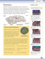 Фото Eyewitness Workbooks. Ancient Greece 5