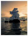 Фото Great Escapes Yoga. The Retreat Book 5
