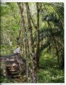 Фото Great Escapes Yoga. The Retreat Book 8
