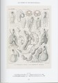 Фото The Art and Science of Ernst Haeckel 9