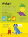 Фото How to Measure Everything 3