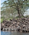 Фото Natural Wonders of the World 13