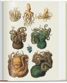 Фото Seba. Cabinet of Natural Curiosities 5