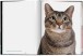Фото Walter Chandoha. Cats. Photographs 1942-2018 3