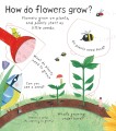 Фото Lift-the-Flap First Questions & Answers: How Do Flowers Grow? 2