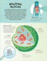 Фото Brain Booster: Human Body 2