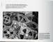 Фото The Charlie Chaplin Archives 8