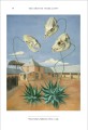 Фото The British Surrealists 4