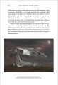 Фото The British Surrealists 16