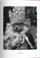 Фото The Dog in Photography. 1839-Today 3