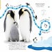 Фото Follow the Trail. Winter Wonderland. Take a Peek! Fun Finger Trails! 4