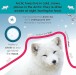 Фото Follow the Trail. Winter Wonderland. Take a Peek! Fun Finger Trails! 5