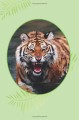 Фото I Love Reading. 550 Words. Tiger! 4