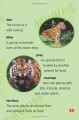 Фото I Love Reading. 550 Words. Tiger! 8