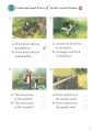 Фото Ladybird Readers 4 Peter and the Wolf Activity Book 3