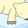 Фото Touchy-Feely Books That's Not My Polar Bear... 2