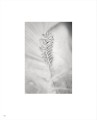 Фото Chanel High Jewelry 9