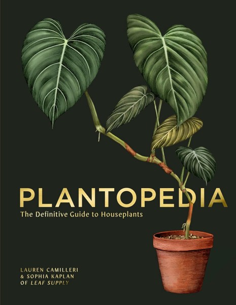 Фото Plantopedia