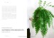 Фото Plantopedia 5