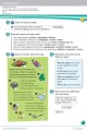 Фото Kid's Box. Level 5. Teacher's Book 9