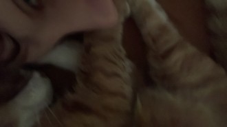 котенятку на книжки