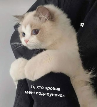 мої найбільші бажанки 🥺