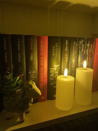 Книжкова полиця бажанок для котика ❤️