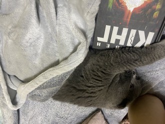 Книжкові бажанки 📚