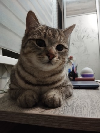 Книжечки 📚