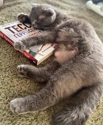 Мої книжкові мрії🥰📚
