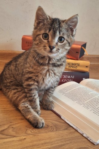 Муся і книги