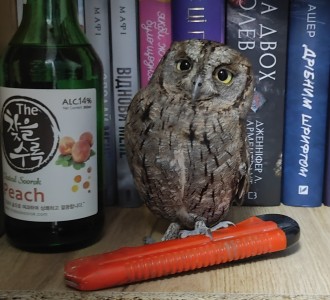 Книжкова сова 📚💜🦉