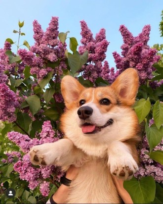 💜Куточок мрій💜