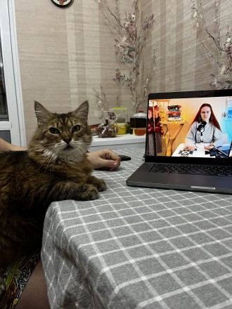 Книжечки