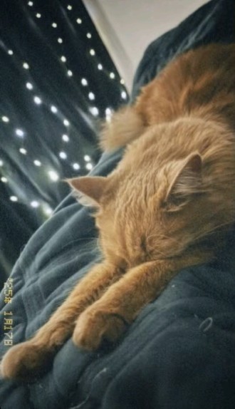 Книжки мрії🌠