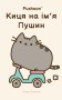 Киця на ім’я Пушин