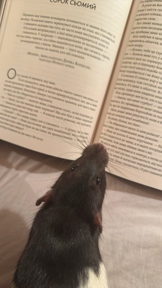 Пацюкочитач