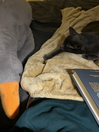 Що почитати📖✨
