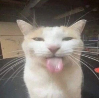 Хочуу