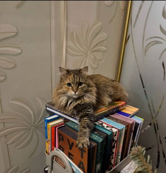 Мої бажання ✨️