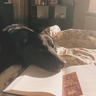 Мої книжкомрії📖🥰