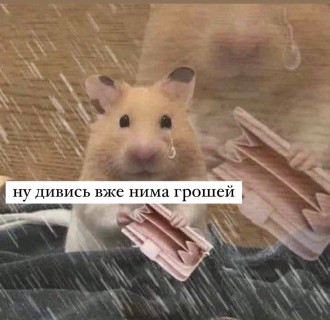 Бажанки 😍📚