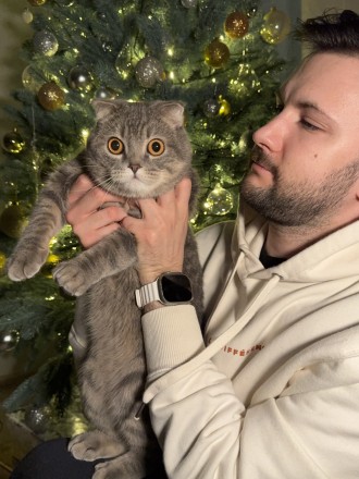 Книжкова поличка татка Тіма 😻